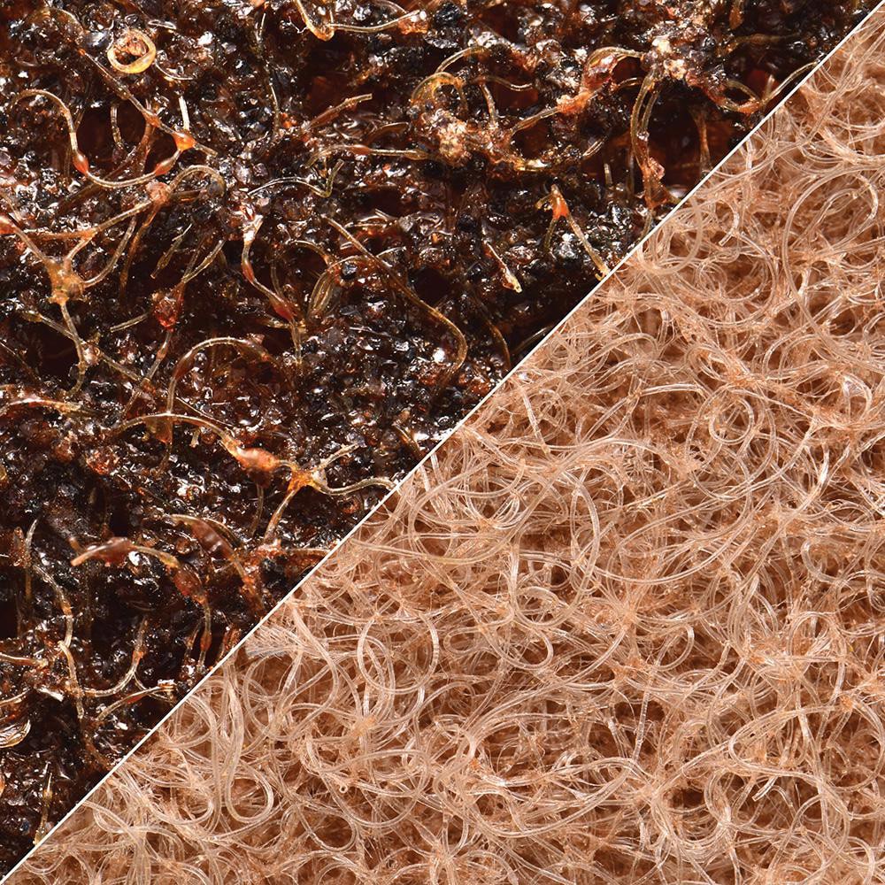 Abrasive Belt: 2" Wide, 34" OAL, Aluminum Oxide
