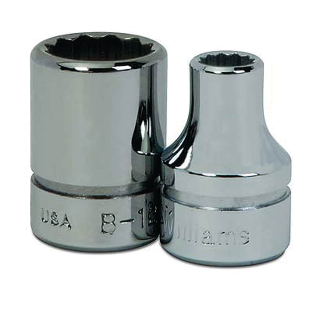 Standard Hand Socket: 3/8" Drive, 7.00 mm Socket, 12-Point