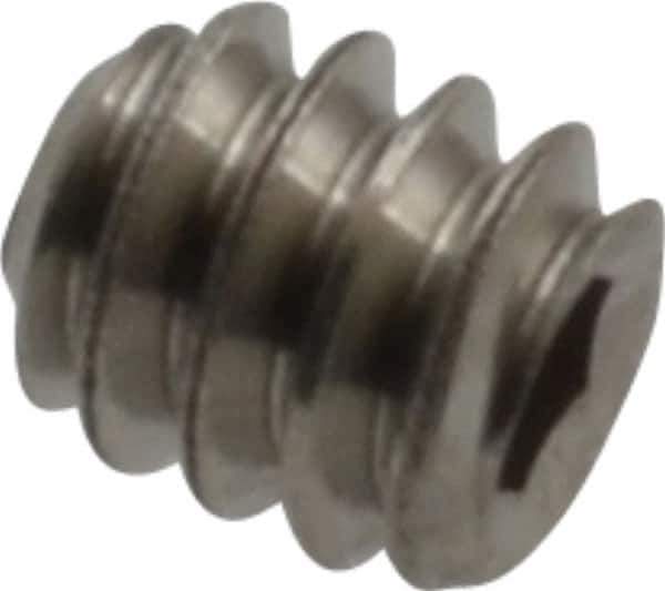 Value Collection - #4-40 UNC, 1/8" OAL, Cup Point Set Screw - Grade 18-8 Stainless Steel, 0.05" Key - Eagle Tool & Supply