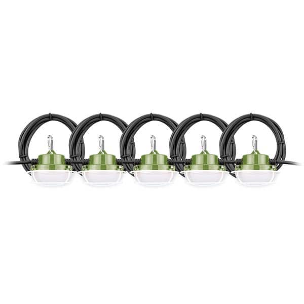 PowerSmith - Temporary String Lights Number of Sockets: 5 Cord Length (Feet): 50.00 - Eagle Tool & Supply