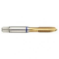 42381 2B 4-Flute PM Cobalt Blue Ring Spiral Point Plug Tap-TiN - Eagle Tool & Supply