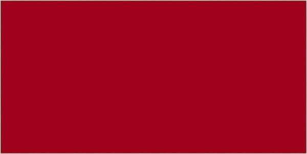 Tape Logic - 6" Long, Red Paper Inventory Labels - For Multi-Use - Eagle Tool & Supply