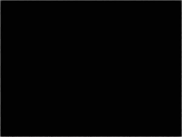 Tape Logic - 4" Long, Black Paper Inventory Labels - For Multi-Use - Eagle Tool & Supply