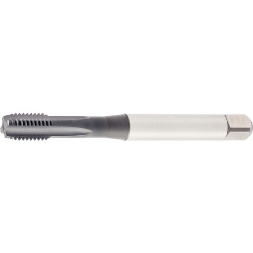 GT425001 M5X0.8 6HX STFL BOTT 371 - Exact Industrial Supply