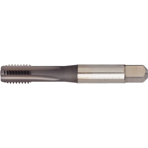 GT405033 M6X1 6HX STFL SBOTT - Exact Industrial Supply