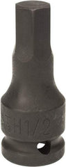 Paramount - 1/2" Drive, 1/2" Impact Hex Bit Socket - 1-3/8" Bit Length, 2-5/16" OAL - Eagle Tool & Supply