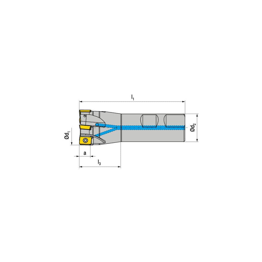 Indexable Square-Shoulder End Mill: C210.20.R.03-10, 20.0000'' Shank Dia, Weldon Flat Shank Uses 3, Normal Pressure, 90.00 mm OAL
