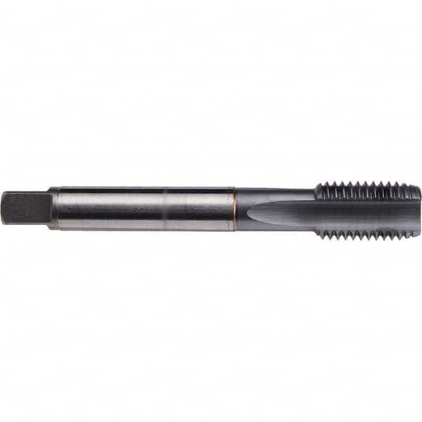 Emuge - M20x1.50 Metric Fine 6H 0 Flute TiCN Finish Cobalt Machine Tap - Eagle Tool & Supply