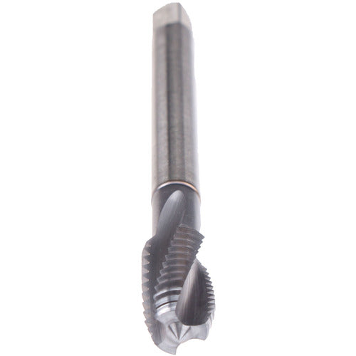 LK 1/2-13 TITAN-BLIND HL - Exact Industrial Supply