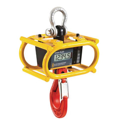 Crane Scales & Hanging Scales; Type: Crane Scale w/1" Display, Cage & IR Remote; Capacity (Lb.): 25000.00; Capacity (kg): 11339.8093; Display Type: 6 Digit LCD, 5 Digit LCD; Scale Type: Crane Scale