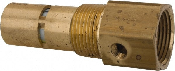 Check Valve: 1" Pipe