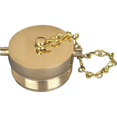 Brass & Chrome Pipe Fittings; Fitting Type: Brass Plug; Fitting Size: 2-1/2; End Connections: Plug-In Stem; Material Grade: 360; Connection Type: Threaded; Pressure Rating (psi): 175; Fitting Shape: Straight; Thread Standard: NST