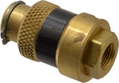 Coilhose Pneumatics - 1/8" Pipe, FNPT x FNPT, Brass Lockout Valve - 150 Max psi, Brass Sleeve - Eagle Tool & Supply