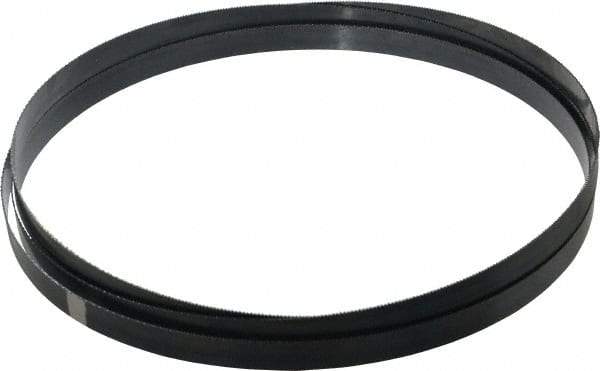 Starrett - 14 TPI, 10' Long x 3/4" Wide x 0.032" Thick, Welded Band Saw Blade - Carbon Steel, Toothed Edge, Raker Tooth Set, Flexible Back, Contour Cutting - Eagle Tool & Supply