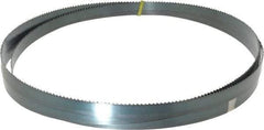 Starrett - 6 TPI, 10' Long x 3/4" Wide x 0.032" Thick, Welded Band Saw Blade - Carbon Steel, Toothed Edge, Raker Tooth Set, Flexible Back, Contour Cutting - Eagle Tool & Supply
