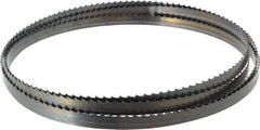 Starrett - 4 TPI, 11' 9" Long x 1/2" Wide x 0.025" Thick, Welded Band Saw Blade - Carbon Steel, Toothed Edge, Raker Tooth Set, Flexible Back, Contour Cutting - Eagle Tool & Supply