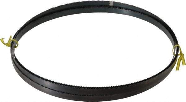 Starrett - 10/S TPI, 14' 6" Long x 1/2" Wide x 0.025" Thick, Welded Band Saw Blade - Carbon Steel, Toothed Edge, Raker Tooth Set, Flexible Back, Contour Cutting - Eagle Tool & Supply