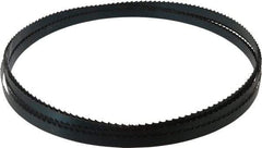Starrett - 3 TPI, 19' 8" Long x 3/4" Wide x 0.032" Thick, Welded Band Saw Blade - Carbon Steel, Toothed Edge, Raker Tooth Set, Flexible Back, Contour Cutting - Eagle Tool & Supply