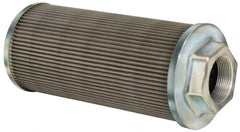 Flow Ezy Filters - 100 Mesh, 284 LPM, 75 GPM, 5.4" Diam, Female Suction Strainer without Bypass - 2-1/2 Port NPT, 12-1/2" Long - Eagle Tool & Supply