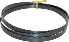 Starrett - 10 TPI, 5' Long x 1/2" Wide x 0.025" Thick, Welded Band Saw Blade - Carbon Steel, Toothed Edge, Raker Tooth Set, Flexible Back, Contour Cutting - Eagle Tool & Supply