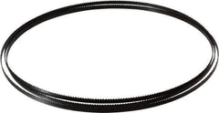 Starrett - 10 TPI, 7' 9" Long x 1/4" Wide x 0.025" Thick, Welded Band Saw Blade - Carbon Steel, Toothed Edge, Raker Tooth Set, Flexible Back, Contour Cutting - Eagle Tool & Supply