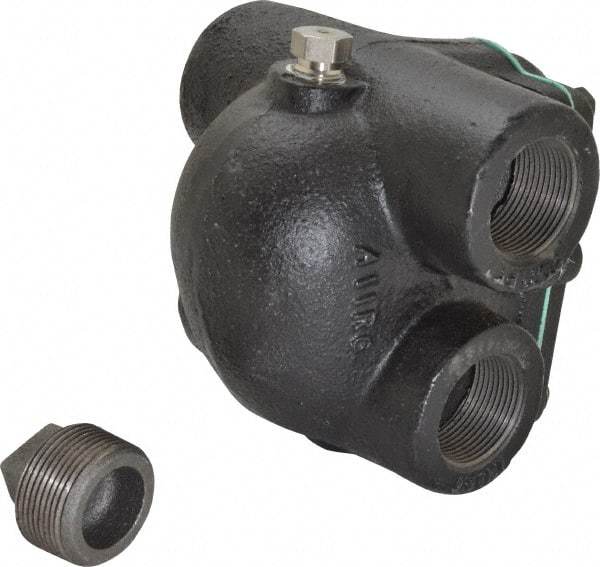 Watts - 4 Port, 1-1/4" Pipe, Cast Iron Float & Thermostatic Steam Trap - 30 Max psi - Eagle Tool & Supply