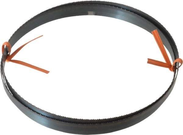 Disston - 14 TPI, 6' 8" Long x 1/2" Wide x 0.025" Thick, Welded Band Saw Blade - Carbon Steel, Toothed Edge, Raker Tooth Set, Flexible Back, Contour Cutting - Eagle Tool & Supply