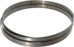 Disston - 6 TPI, 7' 9" Long x 3/4" Wide x 0.032" Thick, Welded Band Saw Blade - Carbon Steel, Toothed Edge, Raker Tooth Set, Flexible Back, Contour Cutting - Eagle Tool & Supply