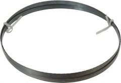 Disston - 10 TPI, 8' Long x 1/2" Wide x 0.025" Thick, Welded Band Saw Blade - Carbon Steel, Toothed Edge, Raker Tooth Set, Flexible Back, Contour Cutting - Eagle Tool & Supply