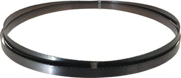 Disston - 10 TPI, 11' 6" Long x 3/4" Wide x 0.032" Thick, Welded Band Saw Blade - Carbon Steel, Toothed Edge, Raker Tooth Set, Flexible Back, Contour Cutting - Eagle Tool & Supply