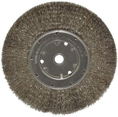 Anderson - 8" OD, 5/8" Arbor Hole, Crimped Stainless Steel Wheel Brush - 1/2" Face Width, 1-13/16" Trim Length, 0.0104" Filament Diam, 4,500 RPM - Eagle Tool & Supply