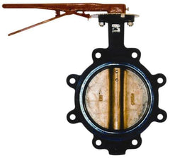 Legend Valve - 5" Pipe, Lug Butterfly Valve - Lever Handle, Cast Iron Body, EPDM Seat, 200 WOG, Aluminum Bronze Disc, Stainless Steel Stem - Eagle Tool & Supply