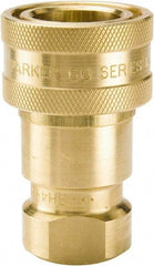 Parker - 1/2 NPTF Brass Hydraulic Hose Female Pipe Thread Coupler - 1,000 psi, 12 GPM - Eagle Tool & Supply