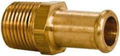 Parker - 3/8 NPT Thread Hose Barb x Male NPT Connector - 1/2" ID Hose, Brass - Eagle Tool & Supply