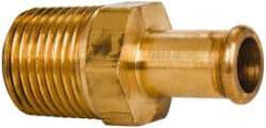 Parker - 1/2 NPT Thread Hose Barb x Male NPT Connector - 1/2" ID Hose, Brass - Eagle Tool & Supply