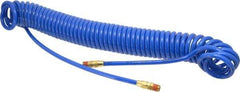 Coilhose Pneumatics - 1/4" ID, 1/4 Thread, 30' Long, Blue Polyurethane Coiled & Self Storing Hose - 125 Max psi, Male Swivel x Male Swivel - Eagle Tool & Supply