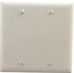 Pass & Seymour - 2 Gang, 4-3/4 Inch Long x 4-11/16 Inch Wide, Standard Blank Wall Plate - Blank, White, Nylon - Eagle Tool & Supply