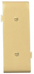 Pass & Seymour - 1 Gang, 4.9062 Inch Long x 1-13/16 Inch Wide, Blank Wall Plate - Blank, Ivory, Nylon - Eagle Tool & Supply