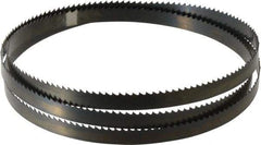 Disston - 6 TPI, 5' 4-1/2" Long x 1/2" Wide x 0.025" Thick, Welded Band Saw Blade - Carbon Steel, Toothed Edge, Raker Tooth Set, Hard Back, Contour Cutting - Eagle Tool & Supply