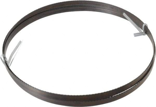 Disston - 18 TPI, 7' 9-1/2" Long x 1/2" Wide x 0.025" Thick, Welded Band Saw Blade - Carbon Steel, Toothed Edge, Raker Tooth Set, Hard Back, Contour Cutting - Eagle Tool & Supply