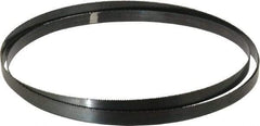 Disston - 10 TPI, 10' 10-1/2" Long x 3/4" Wide x 0.032" Thick, Welded Band Saw Blade - Carbon Steel, Toothed Edge, Raker Tooth Set, Hard Back, Contour Cutting - Eagle Tool & Supply