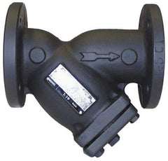 Legend Valve - 2" Pipe, Flanged Ends, Cast Iron Y-Strainer - 200 psi WOG Rating, 150 psi WSP Rating - Eagle Tool & Supply