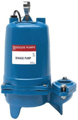 Goulds Pumps - 1/2 hp, 115 Amp Rating, 115 Volts, Capacitor Start Operation, Sewage Pump - 1 Phase, Cast Iron Housing - Eagle Tool & Supply