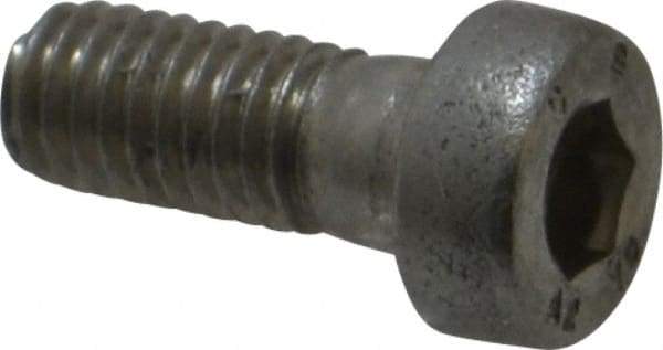 Value Collection - M5x0.80 Metric Coarse Hex Socket Drive, Low Socket Cap Screw - Grade 18-8 & Austenitic A2 Stainless Steel, Uncoated, Fully Threaded, 12mm Length Under Head - Eagle Tool & Supply