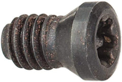 Seco - Torx Plus Lock Screw for Indexables - For Use with Inserts - Eagle Tool & Supply