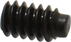 Value Collection - #6-32 UNC, 1/4" OAL, Half Dog Point Set Screw - Grade 8 Alloy Steel, 1/16" Key - Eagle Tool & Supply