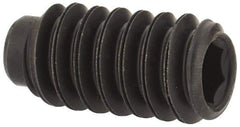 Value Collection - #10-24 UNC, 3/8" OAL, Half Dog Point Set Screw - Grade 8 Alloy Steel, 3/32" Key - Eagle Tool & Supply