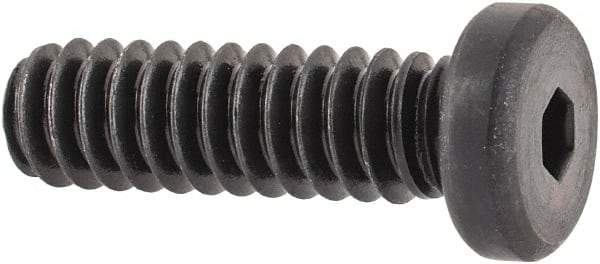 Made in USA - #10-24 UNC Hex Socket Drive, Low Socket Cap Screw - Grade 4037 Alloy Steel, Black Oxide Finish, Fully Threaded, 5/8" Length Under Head - Eagle Tool & Supply
