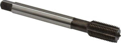 Emuge - 1/2-20 UNF 2BX Modified Bottoming Thread Forming Tap - Cobalt, Nitride Finish, 3.937" OAL, 0.866" Thread Length, Right Hand Thread, Series Rekord Druck-S - Eagle Tool & Supply