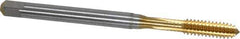 Emuge - #10-24 UNC 2BX Modified Bottoming Thread Forming Tap - Cobalt, TiN Finish, 2.756" OAL, 0.591" Thread Length, Right Hand Thread, Series Rekord Druck-S - Eagle Tool & Supply